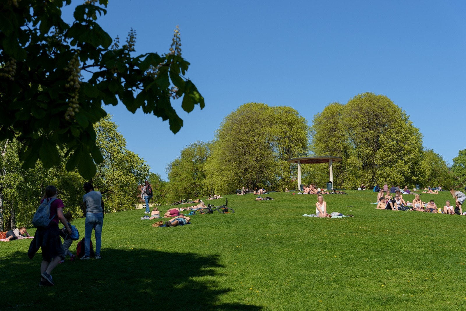 Torshovparken i hjertet av Torshov. Her finner du også minigolf og sandvolleyball. Galleribilde