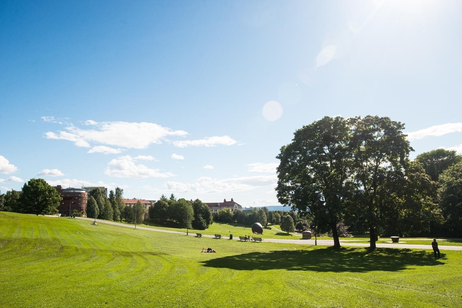 Flotte Torshovparken ligger i gåavstand til leiligheten. Galleribilde