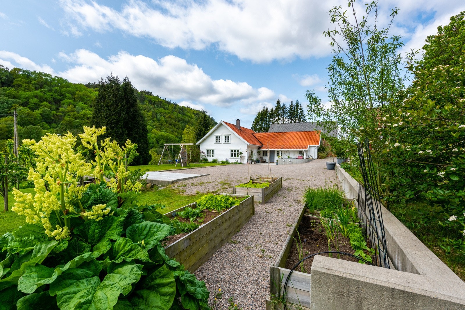 I kjøkkenhagen er det både plantekasser, bærbusker og frukttrær. Galleribilde