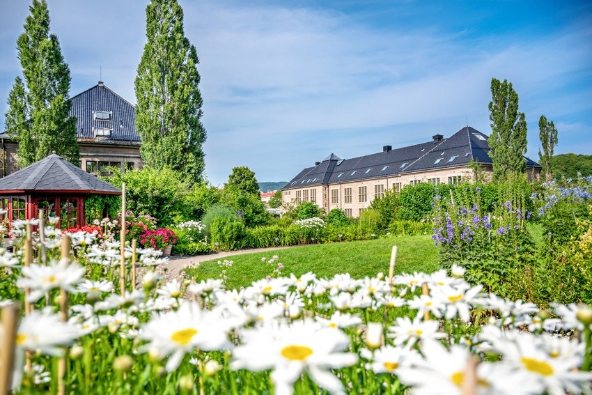Botanisk hage vil du også finne like ved, med fine turstier, kafé og uendelig med blomster trær og spennende beplantning! Galleribilde