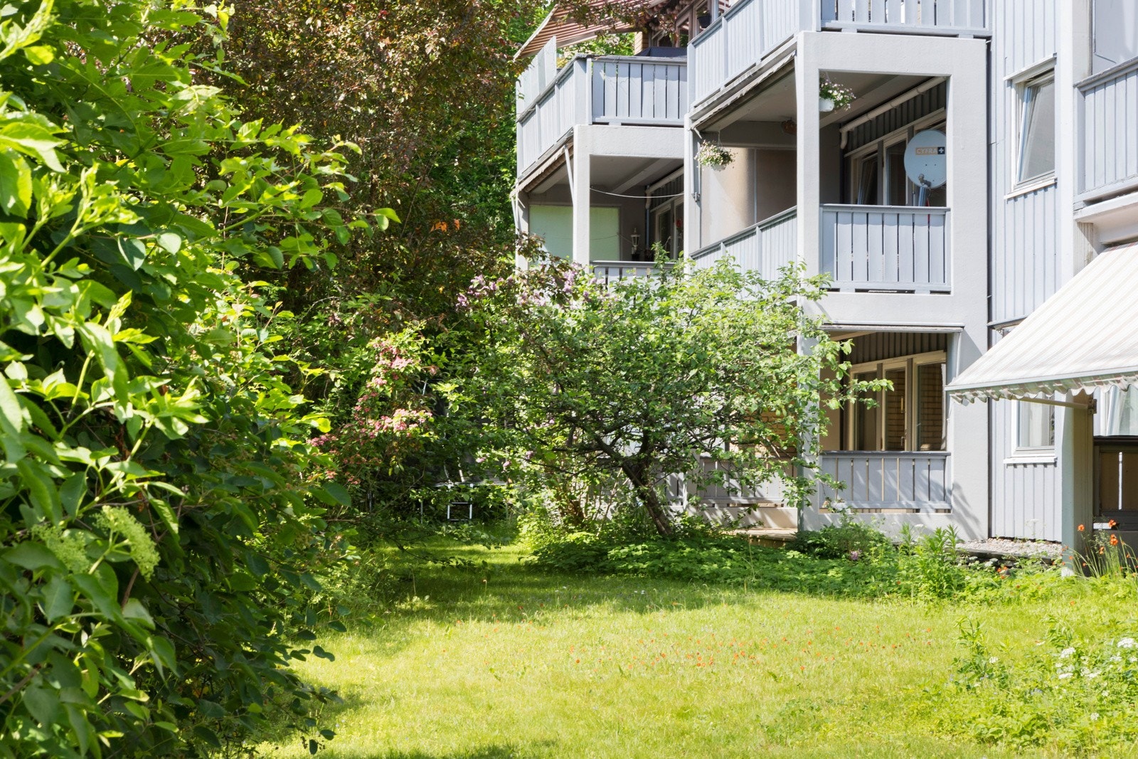 Usjenert terrasse på bakkeplan Galleribilde