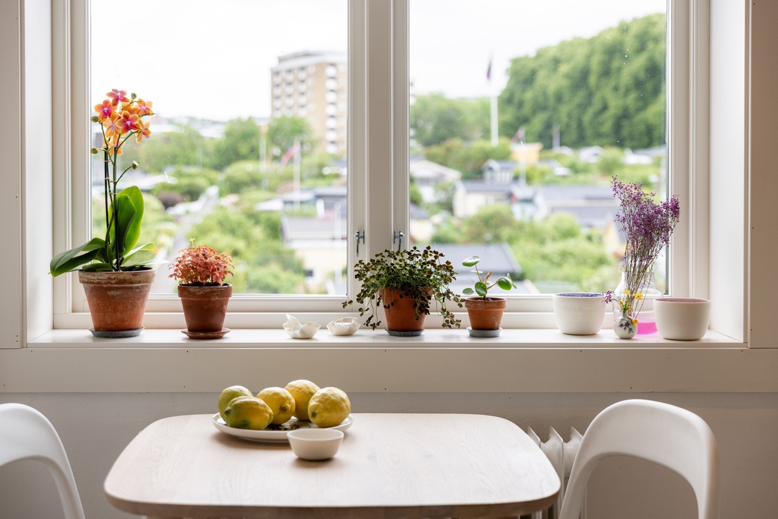 Fra kjøkkenvinduet er det magisk utsikt over Hjemmets Kolonihager og Bjølsenparken. Galleribilde