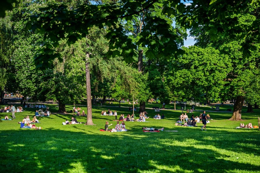 Fra leiligheten har du kort avstand til Sofienbergparken. Et idyllisk sted på sommeren! Galleribilde