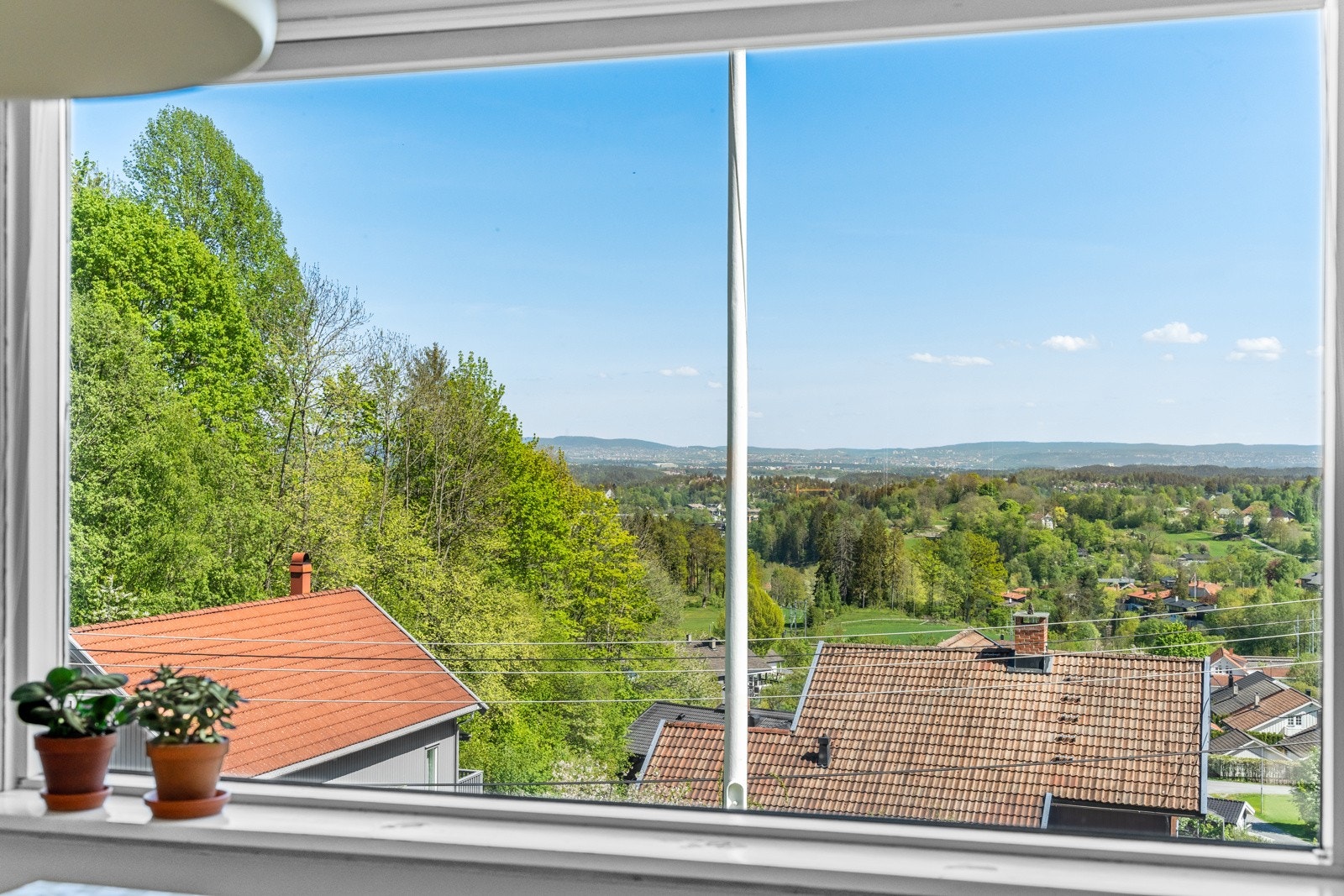 Furubakken 19 small outdoor shoot (13) Galleribilde