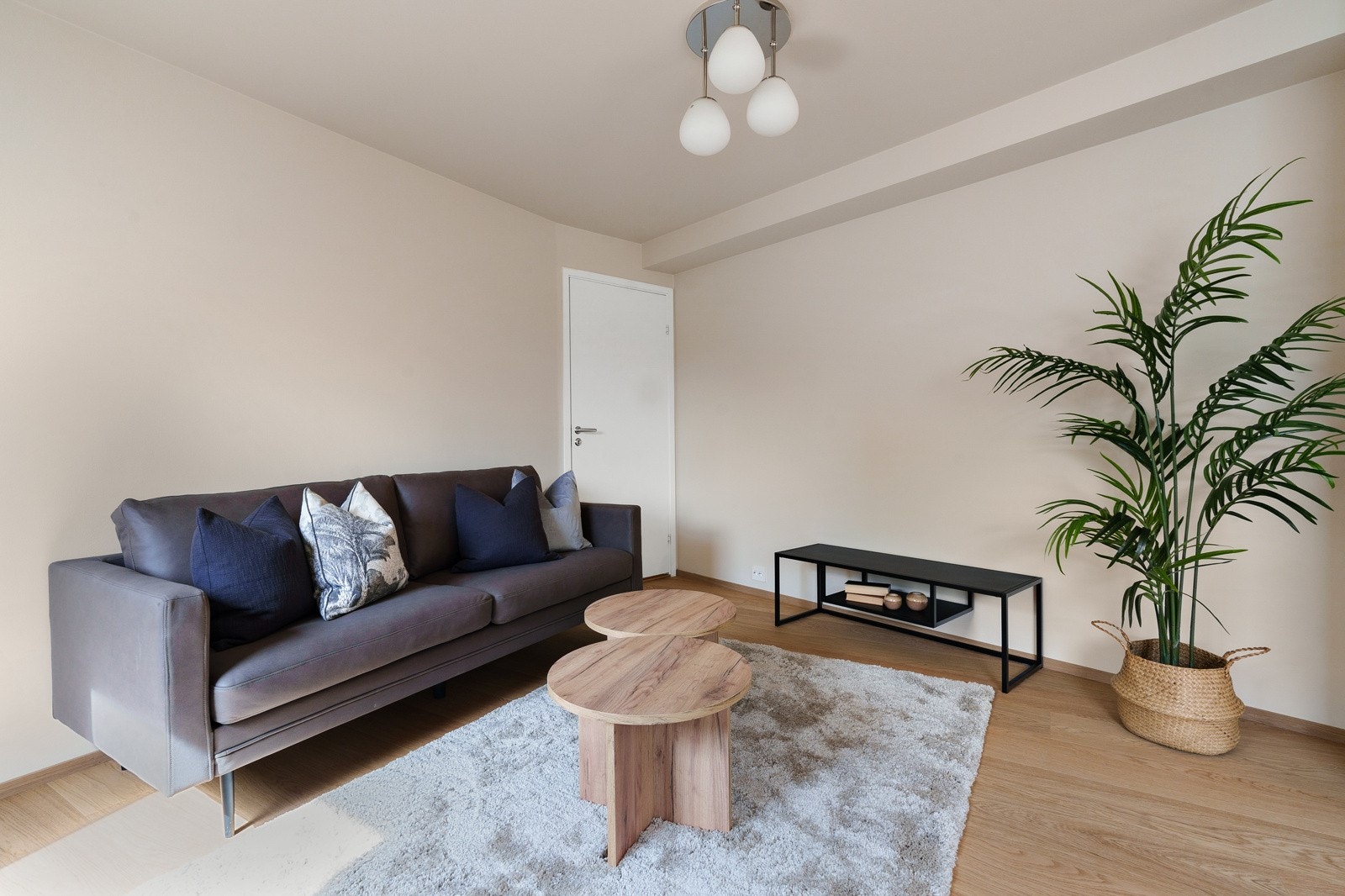 Utleiedel. Galleribilde