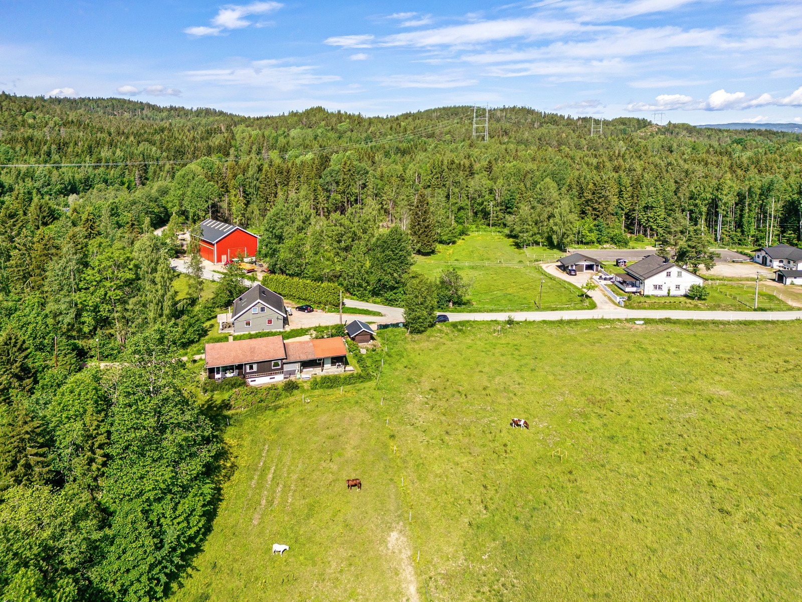 Velkommen til visning! Galleribilde