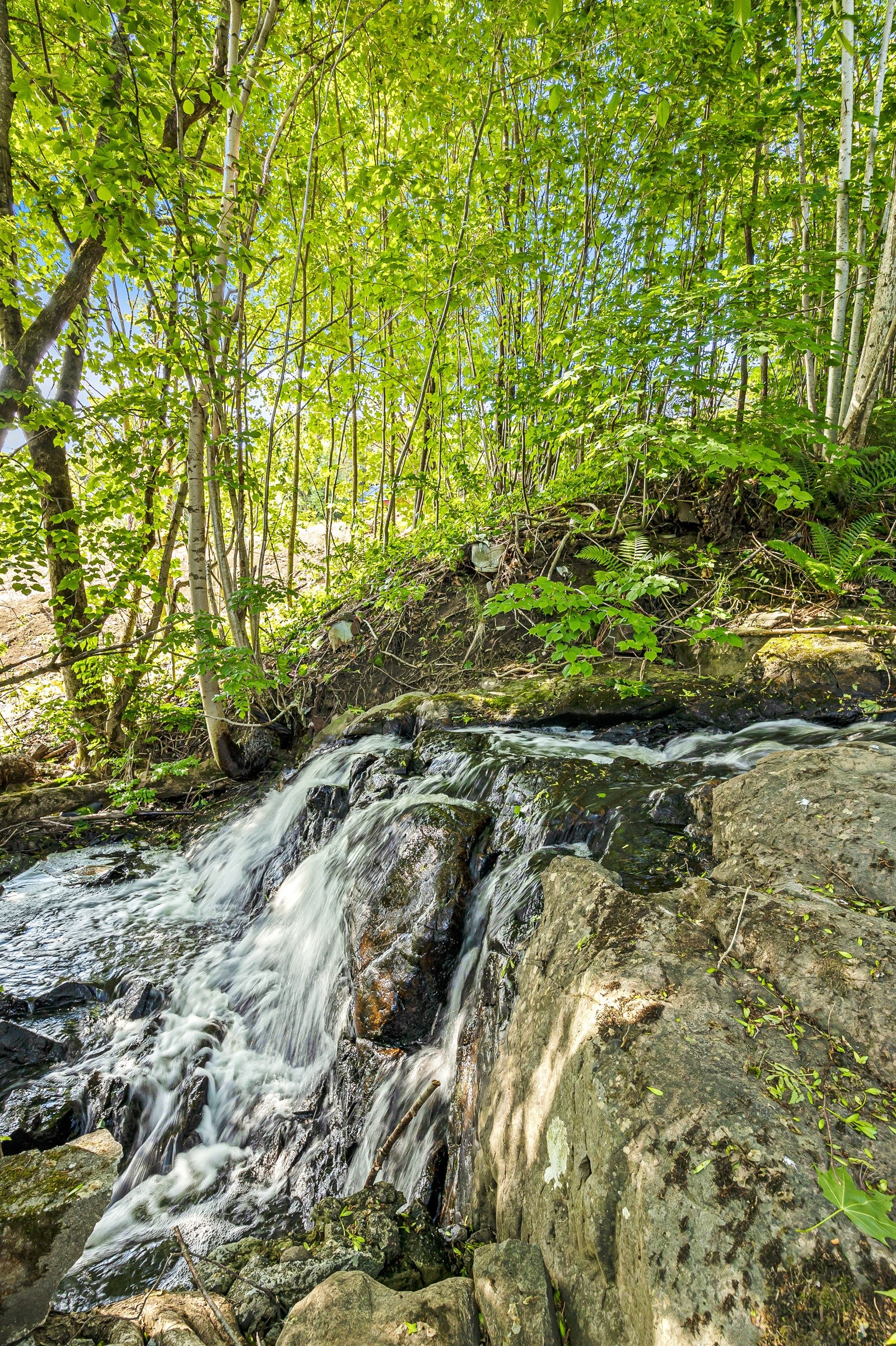 Nærområdet Galleribilde