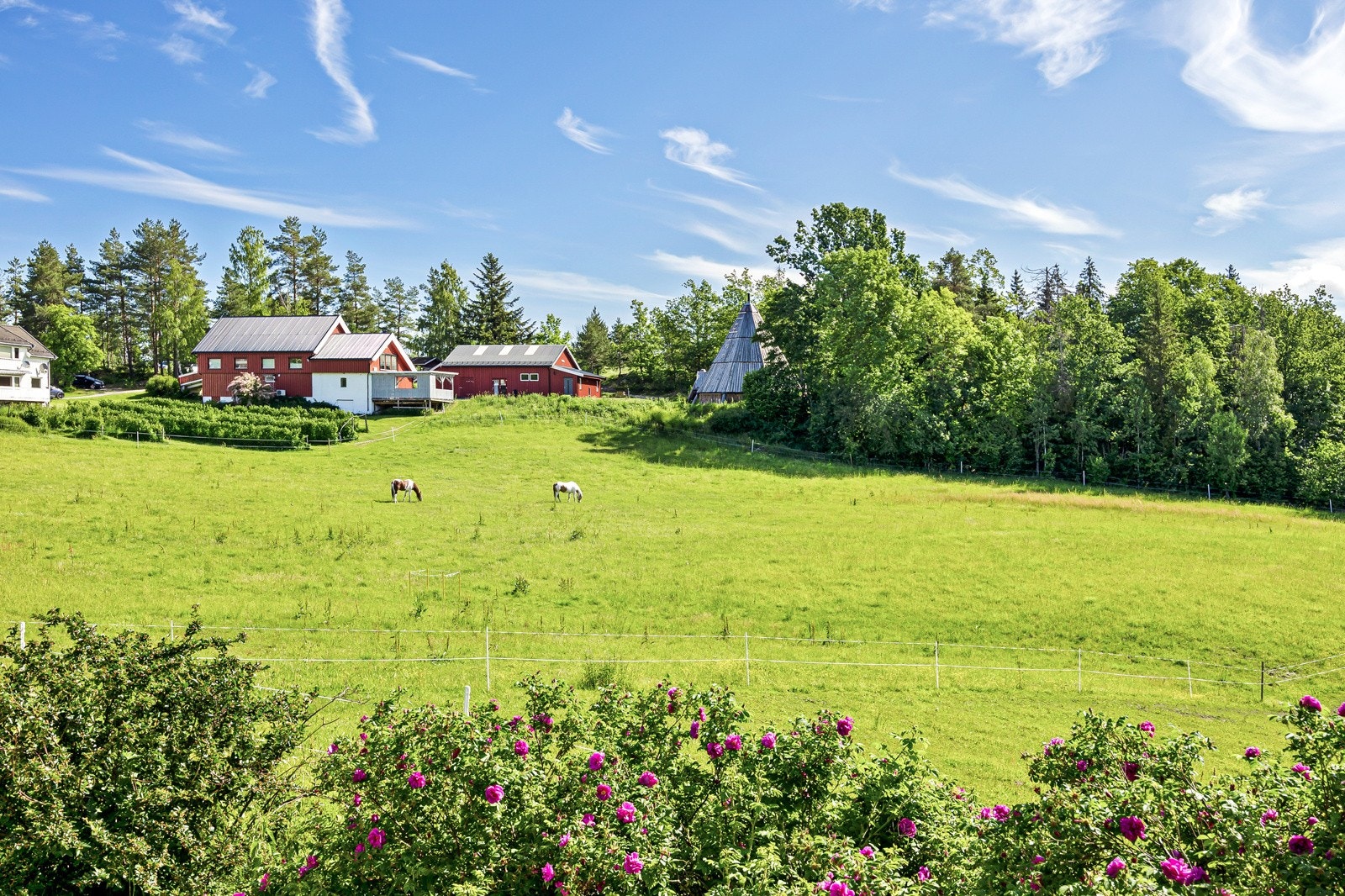 Naturskjønne omgivelser med tur- og friluftsområder rett utenfor døren Galleribilde