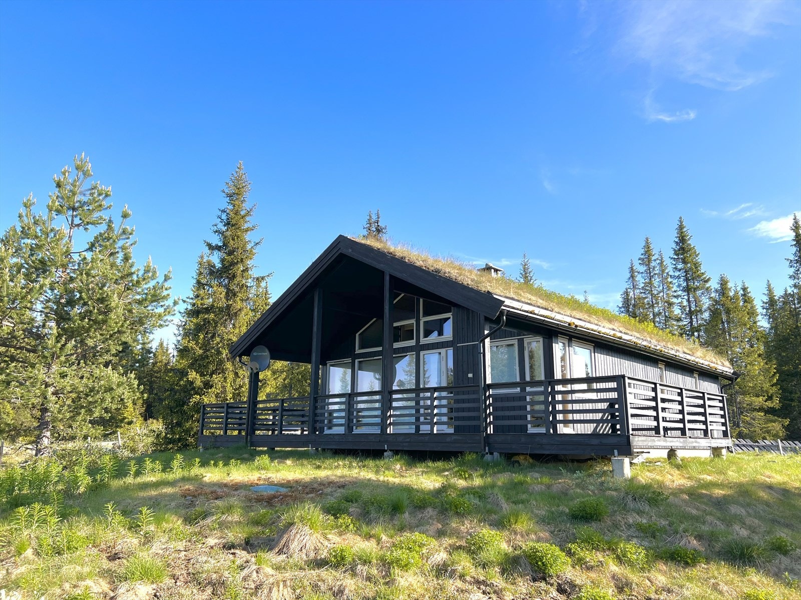 Velkommen til Kattulvegen 37! Galleribilde