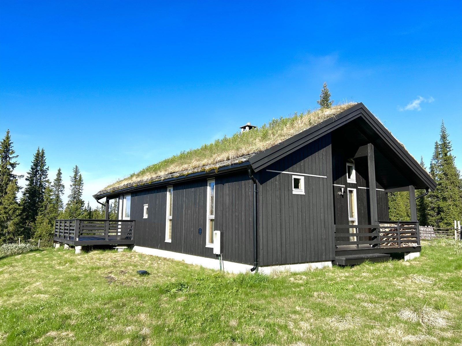Velkommen på visning! Galleribilde