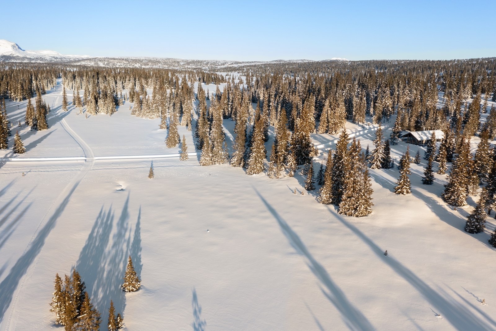 På vinterstid er det bare å spenne på seg skiene og går rett ut i et fantastisk løypenett som strekker seg milevis innover fjellene til bla. Beitostølen, Aurdalsåsen, Svarthamar, Goaren m.m.! Galleribilde