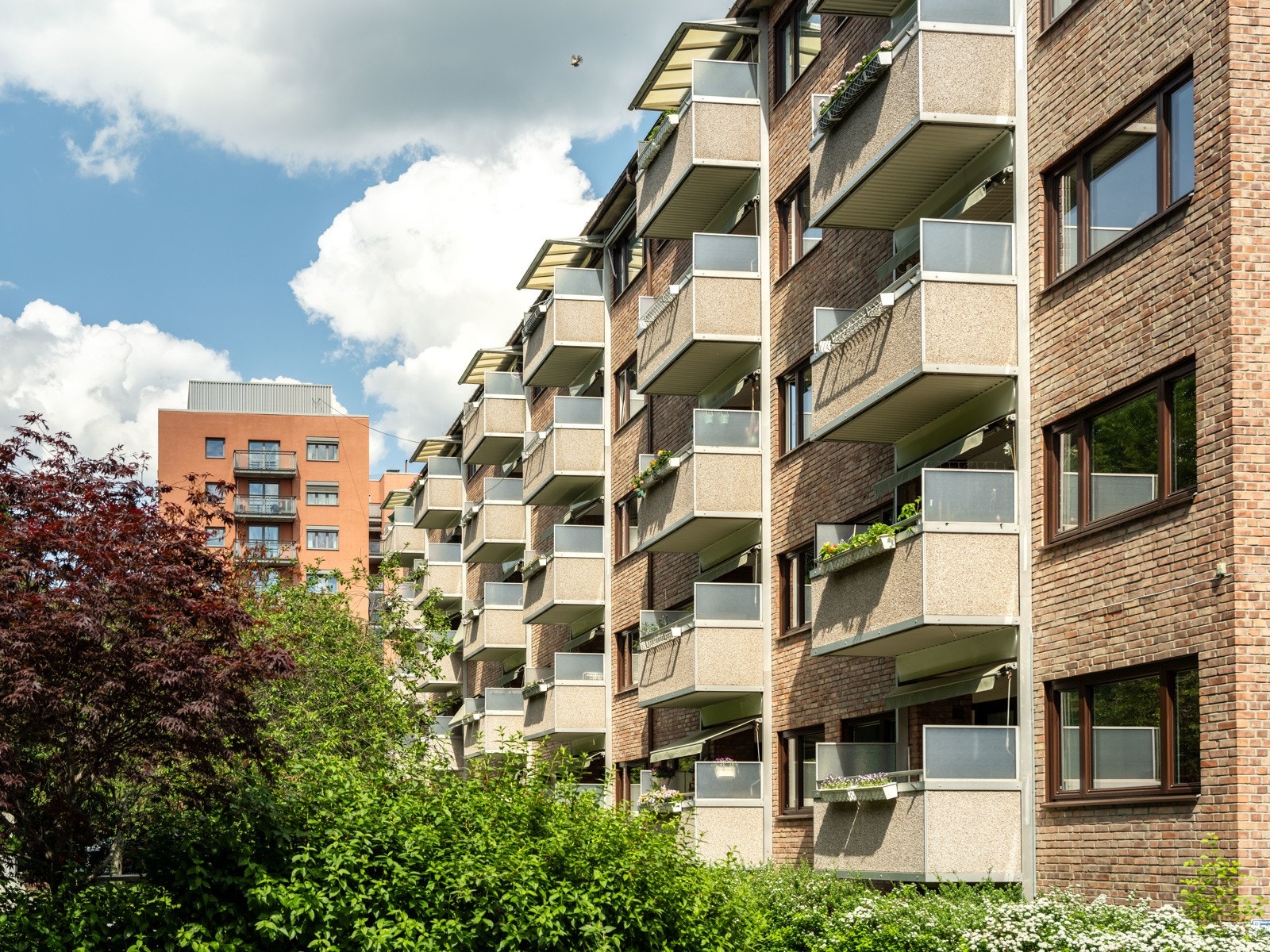 Fra bakhaven. Galleribilde