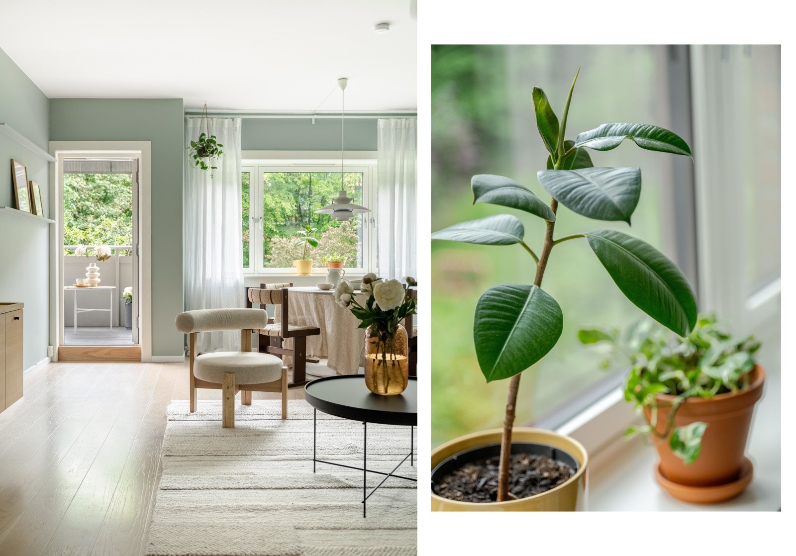 For å virkelig toppe det kliner vi like godt til med et nærbilde av grønne planter. Galleribilde