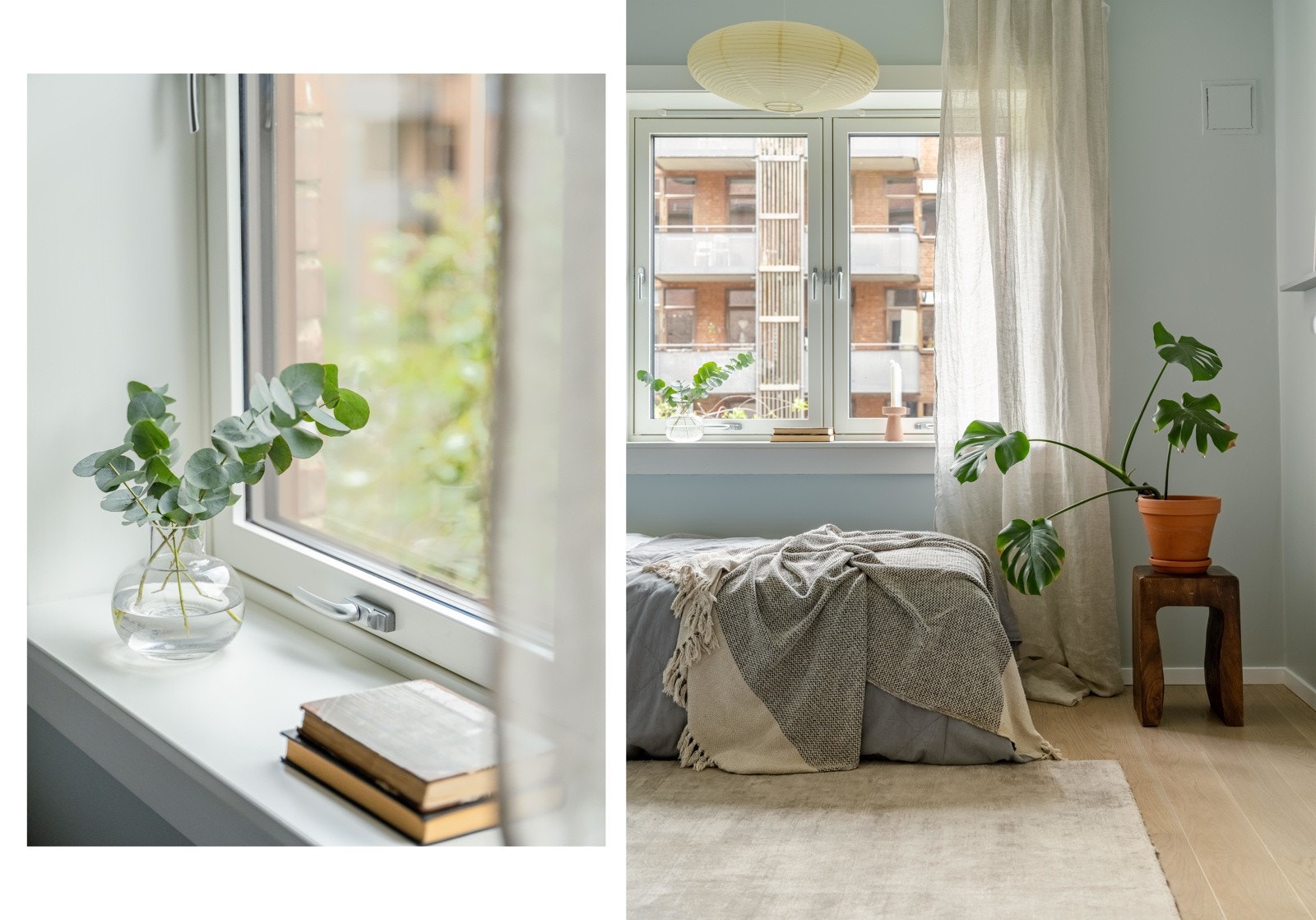 I serien "Grønne planter som skal få deg mo i knærne" tester vi ut denne lille luringen. Galleribilde