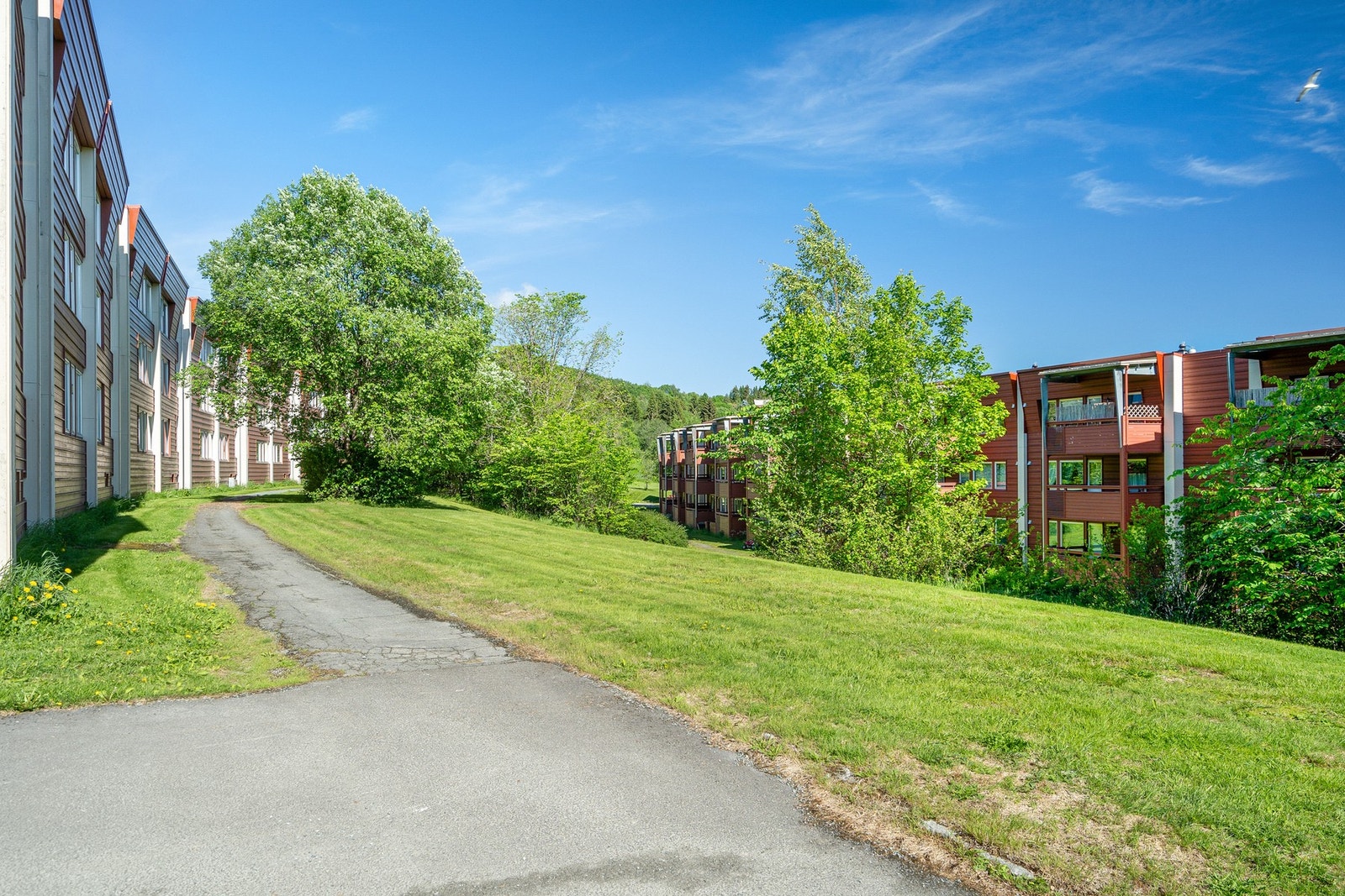 Fra leiligheten er det kort gangvei til dagligvarebutikk, bussholdeplass, restaurant, skole, barnehage etc. Galleribilde