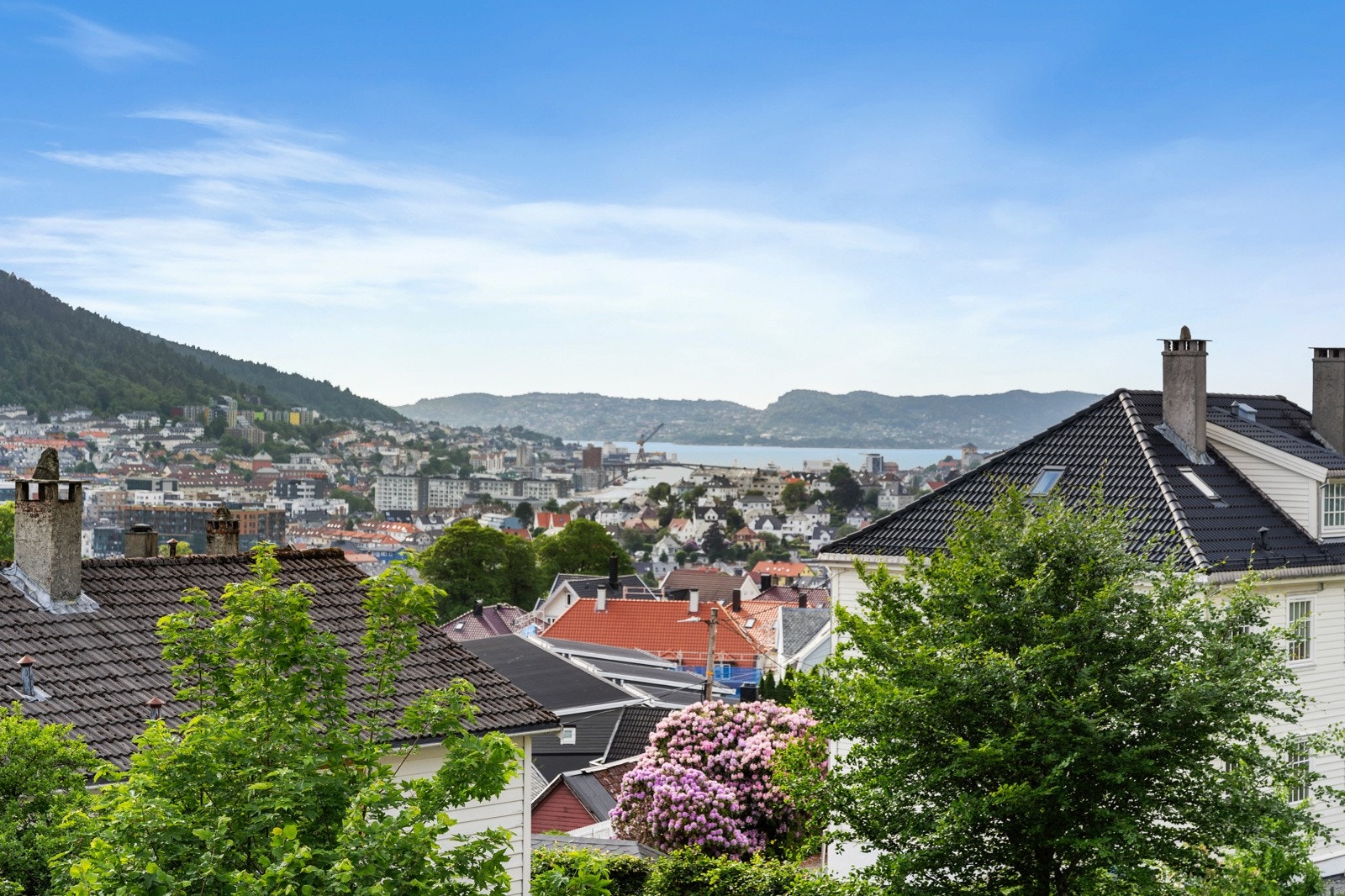 Se den nydelige utsikten. Galleribilde