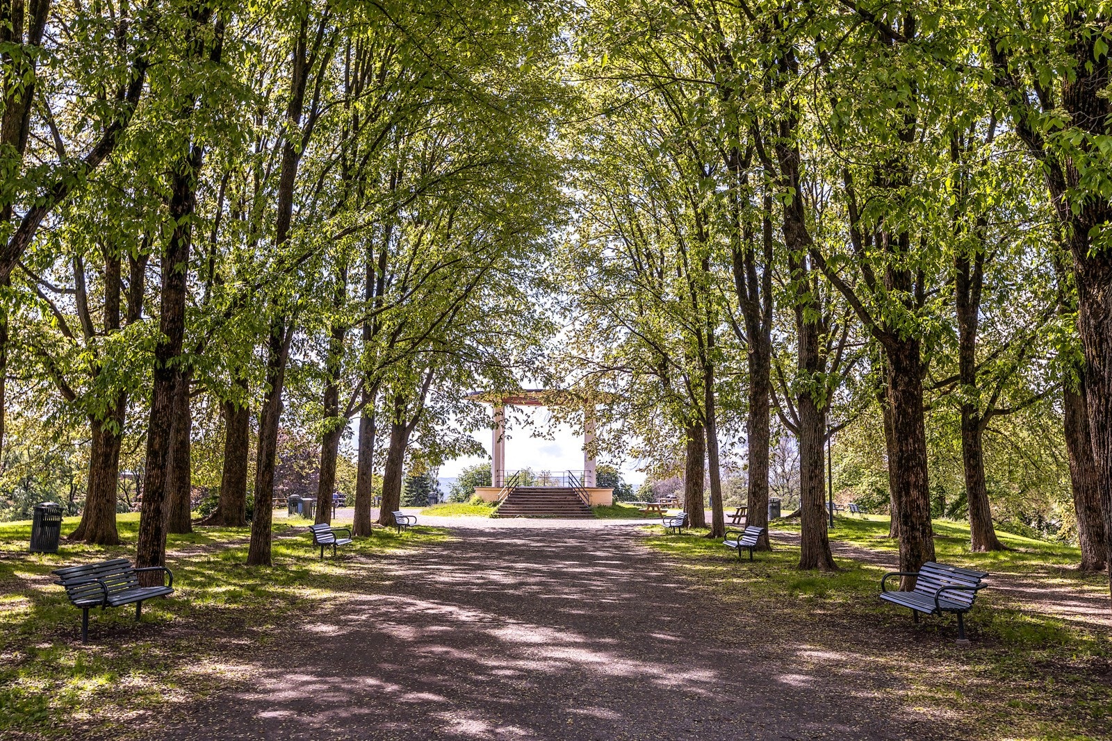 Nærområdet - Det er kort vei til Torshovparken. Galleribilde