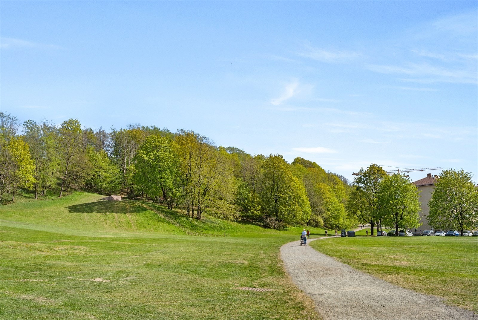 Ola Narr parken. Galleribilde