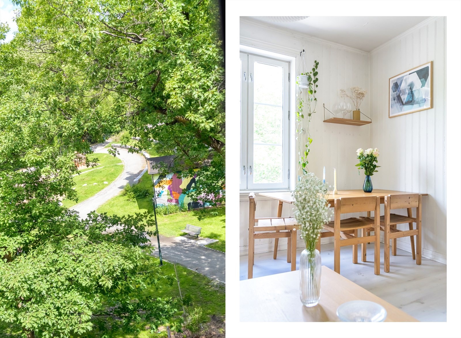 Fra stue og soverom har du utsikt til vakre Botaniske hage Galleribilde