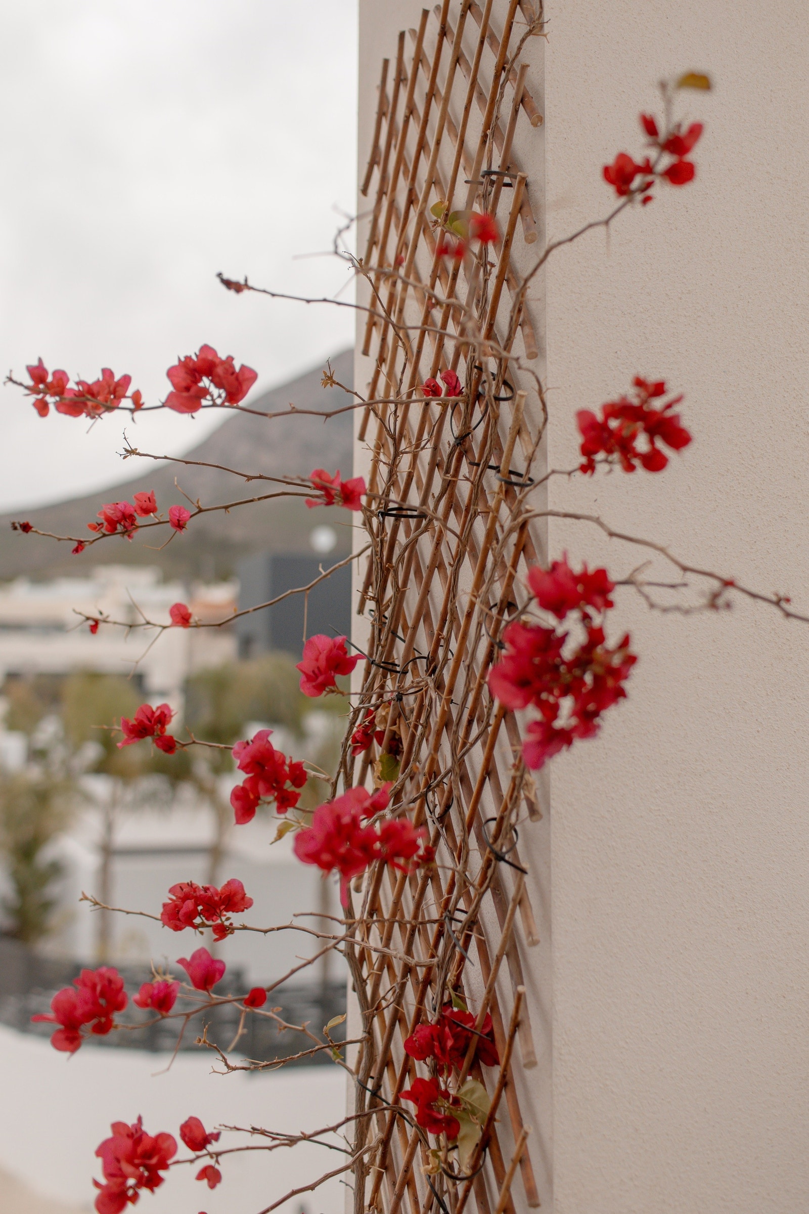 Detalj fra terrassen utenfor stuen Galleribilde