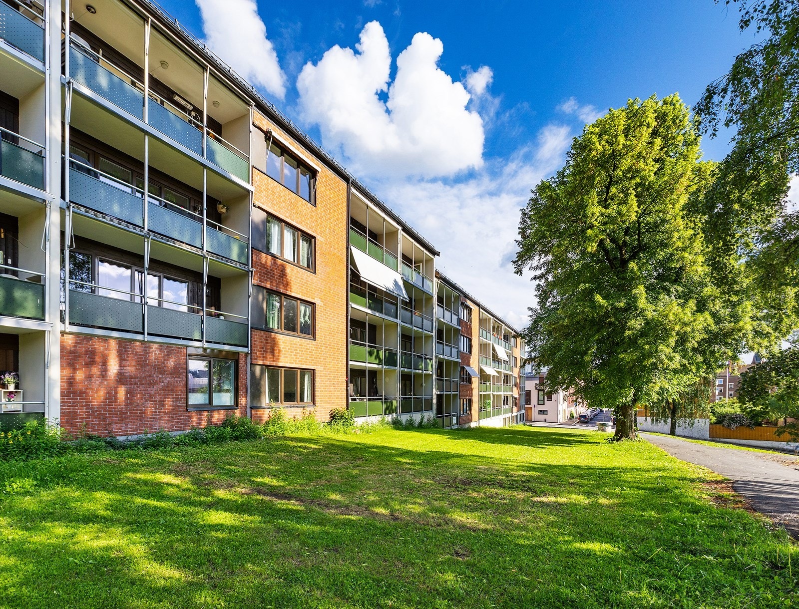 - Velkommen til visning - Galleribilde