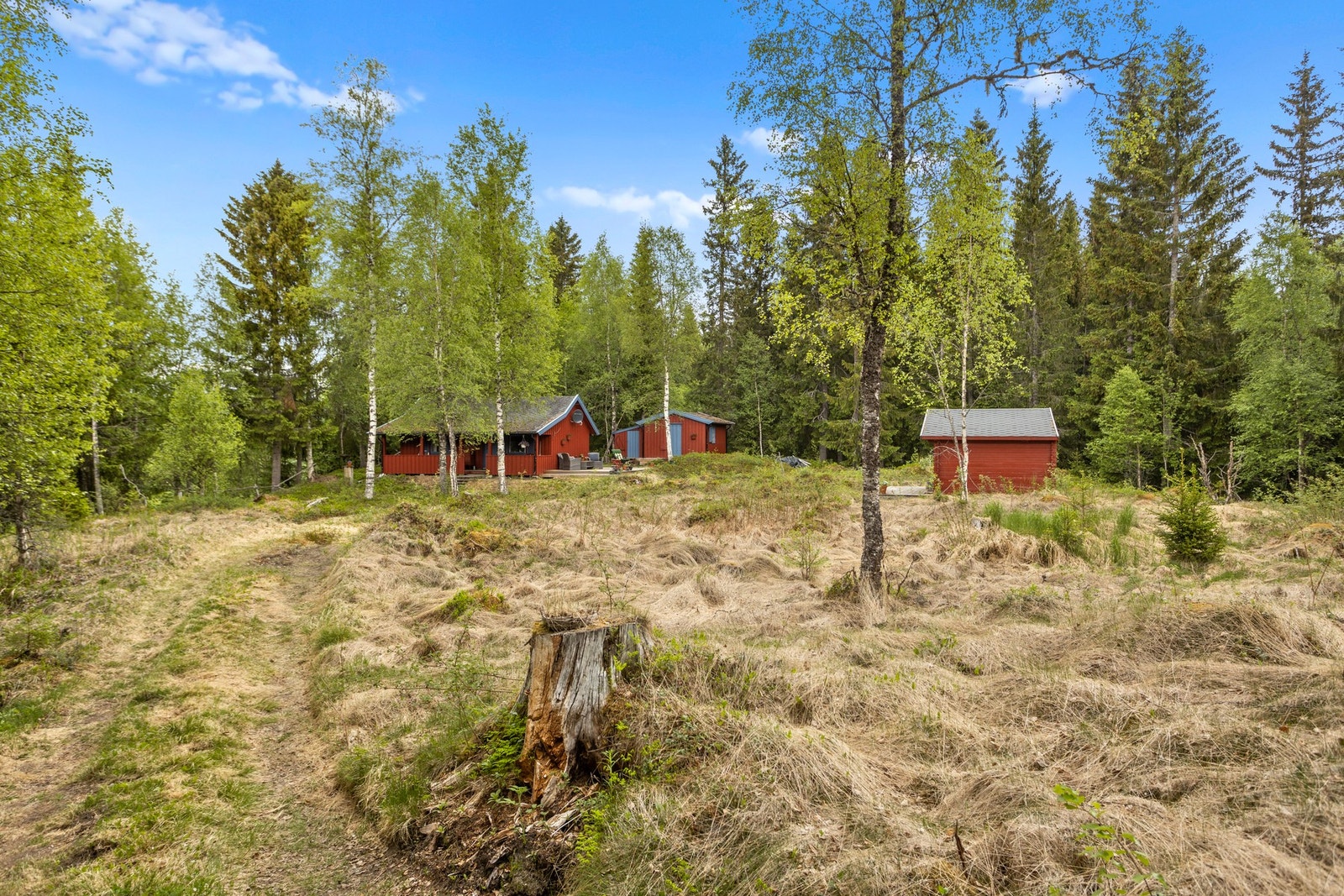 Gode solforhold i fine naturomgivelser Galleribilde