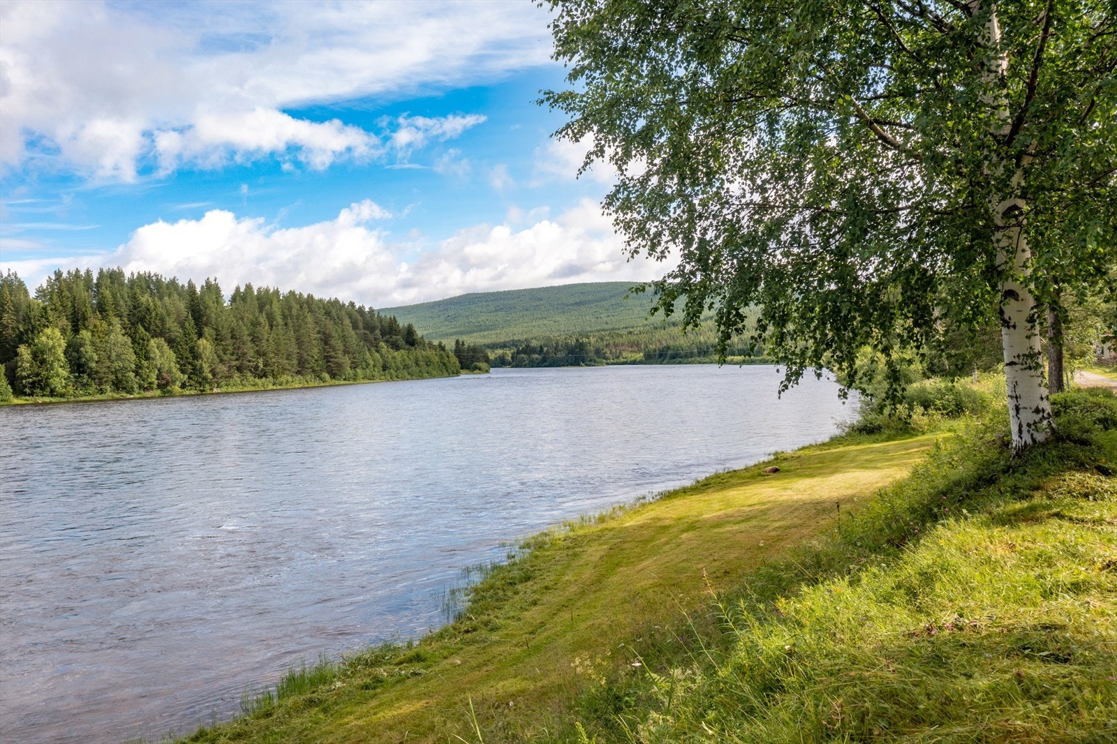 Egen strandlinje av plen mot Glomma. Galleribilde