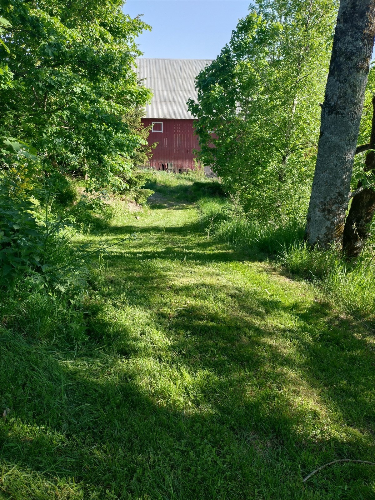 Vei opp til egen kolle. Galleribilde