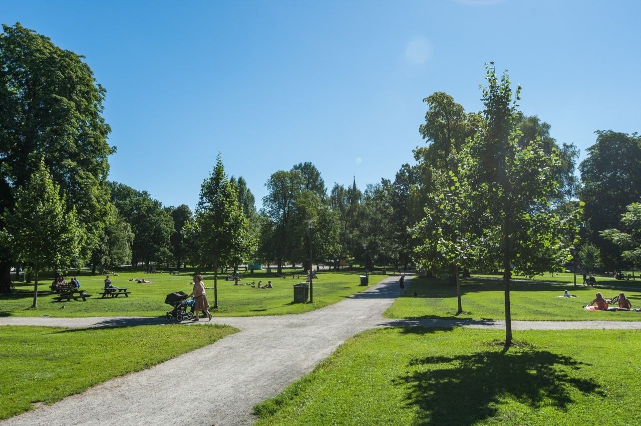 Late sommerdager kan nytes fra de mange flotte parkene i nærområdet, deriblant Birkelunden og Sofienbergparken..jpg Galleribilde