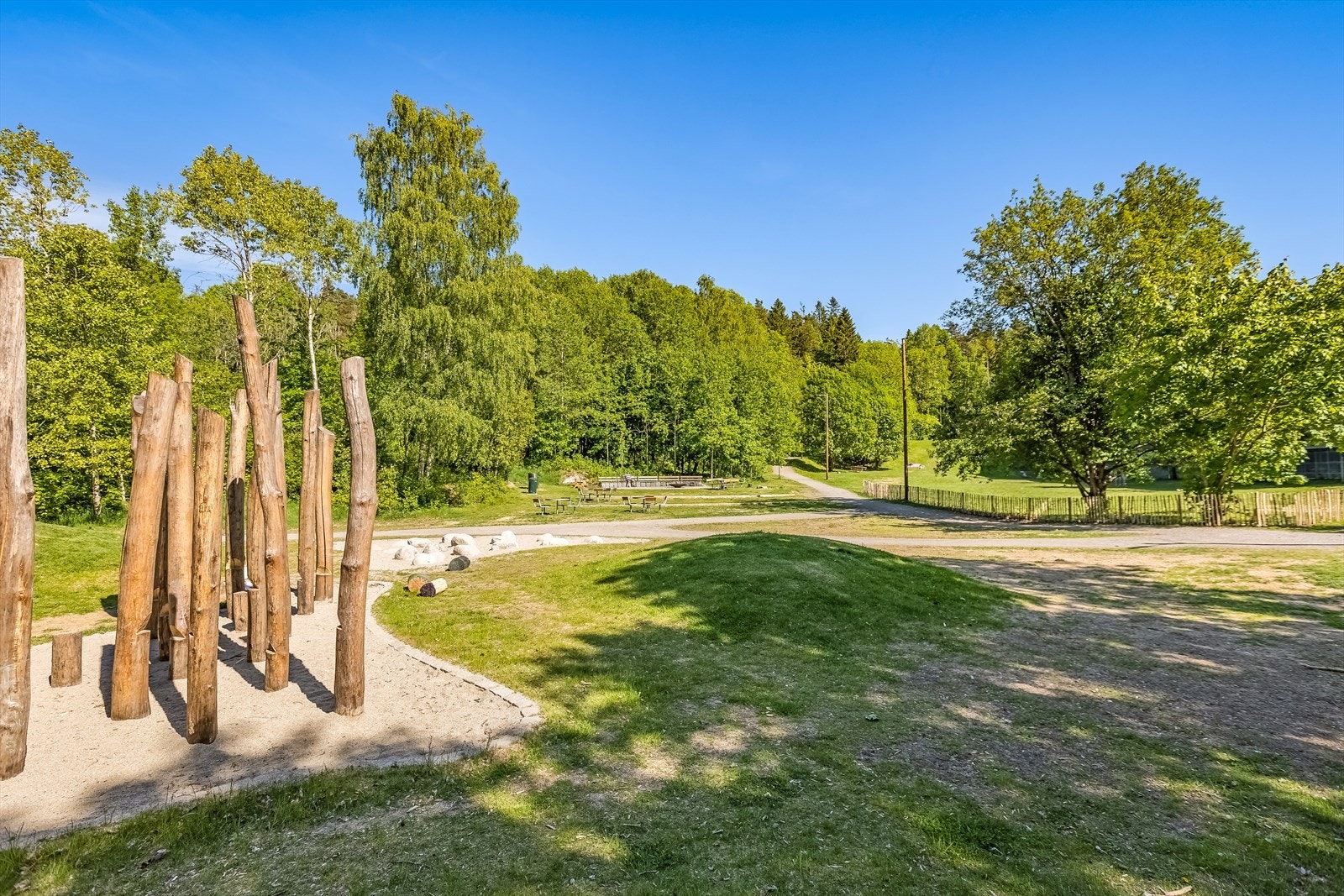 Haugerud hundepark Galleribilde