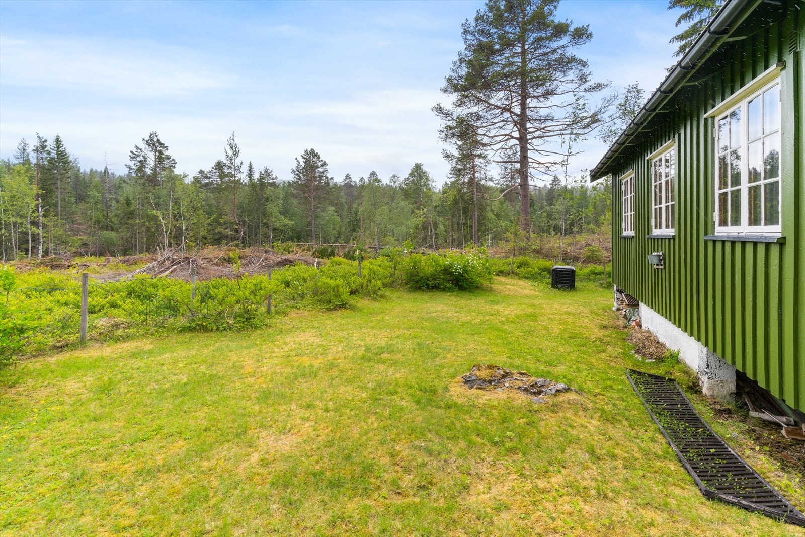 En lett blanding av plen og naturtomt i frodige omgivelser. Galleribilde