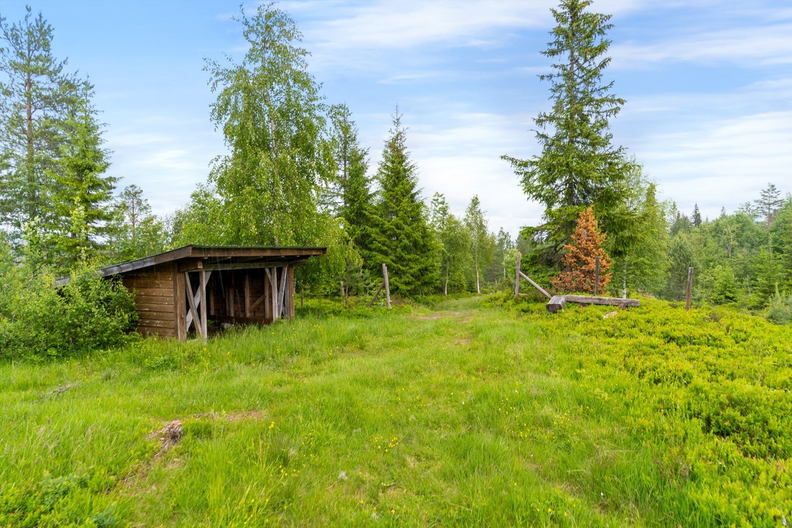 Nærområdene, med gapahuk like bort langs stien for eiendommen. Galleribilde