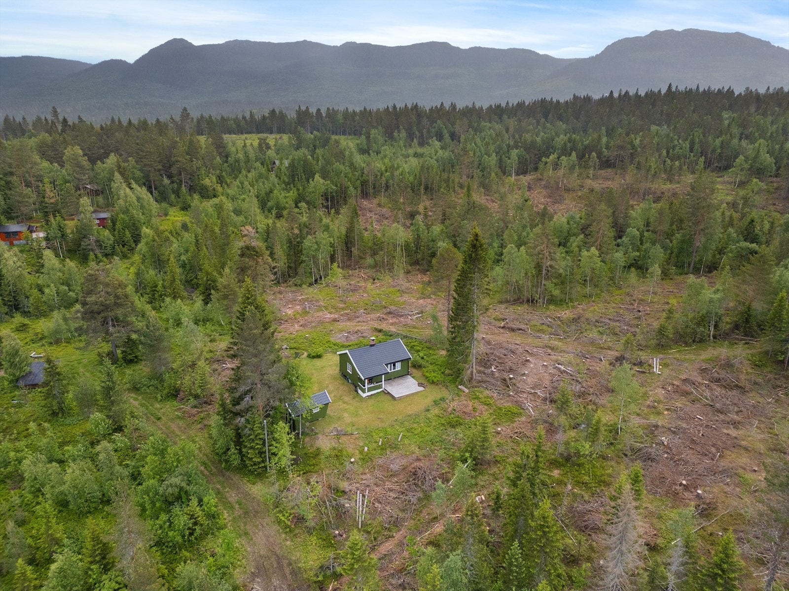 Langt mellom eiendommene, med god boltreplass. Galleribilde