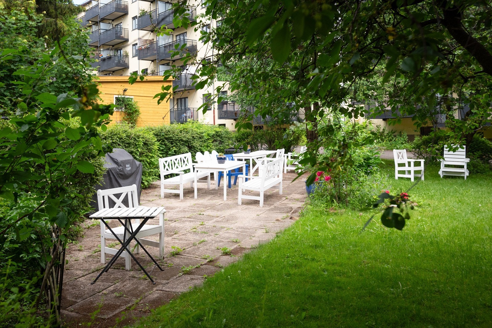 Stor og frodig bakgård med gressplen, flere sittegrupper og grill Galleribilde