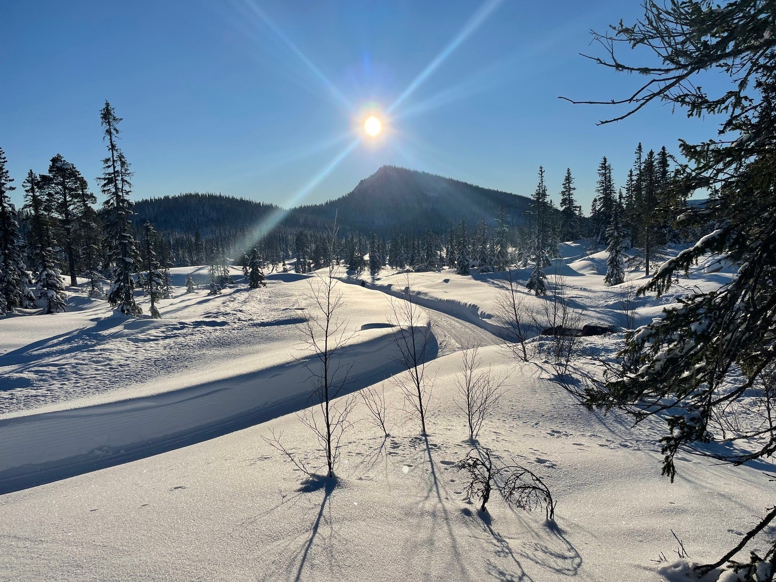 Foto fra tomteområdet Galleribilde