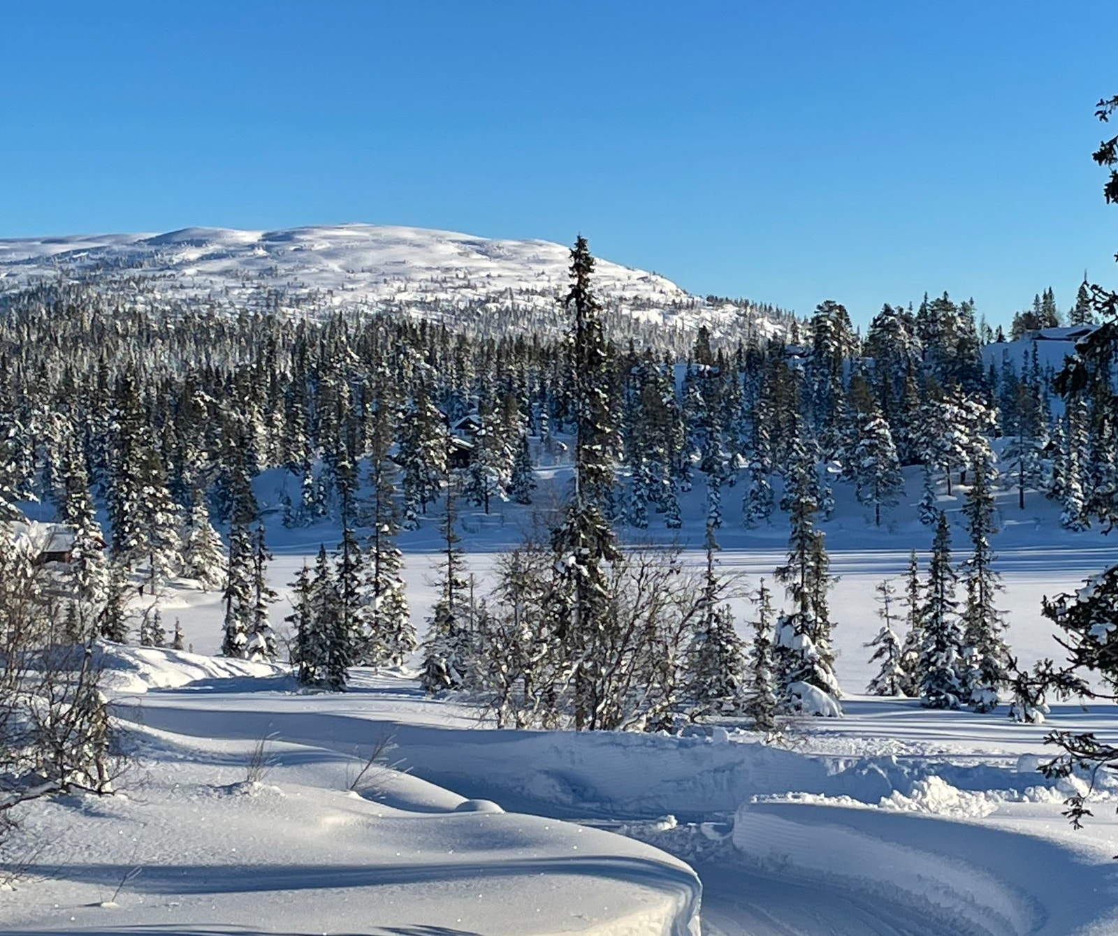 Foto fra tomteområdet Galleribilde