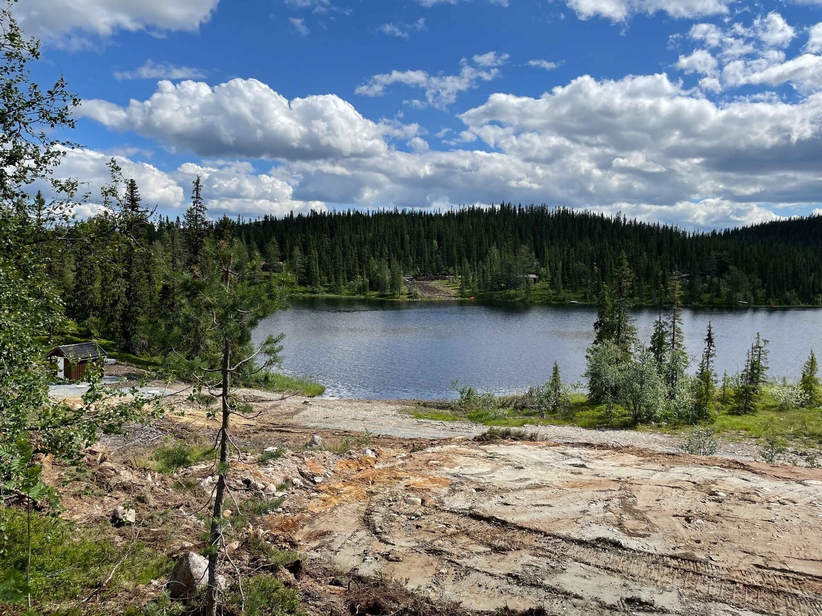 Fra tomteområdet mot Langetjønn Galleribilde