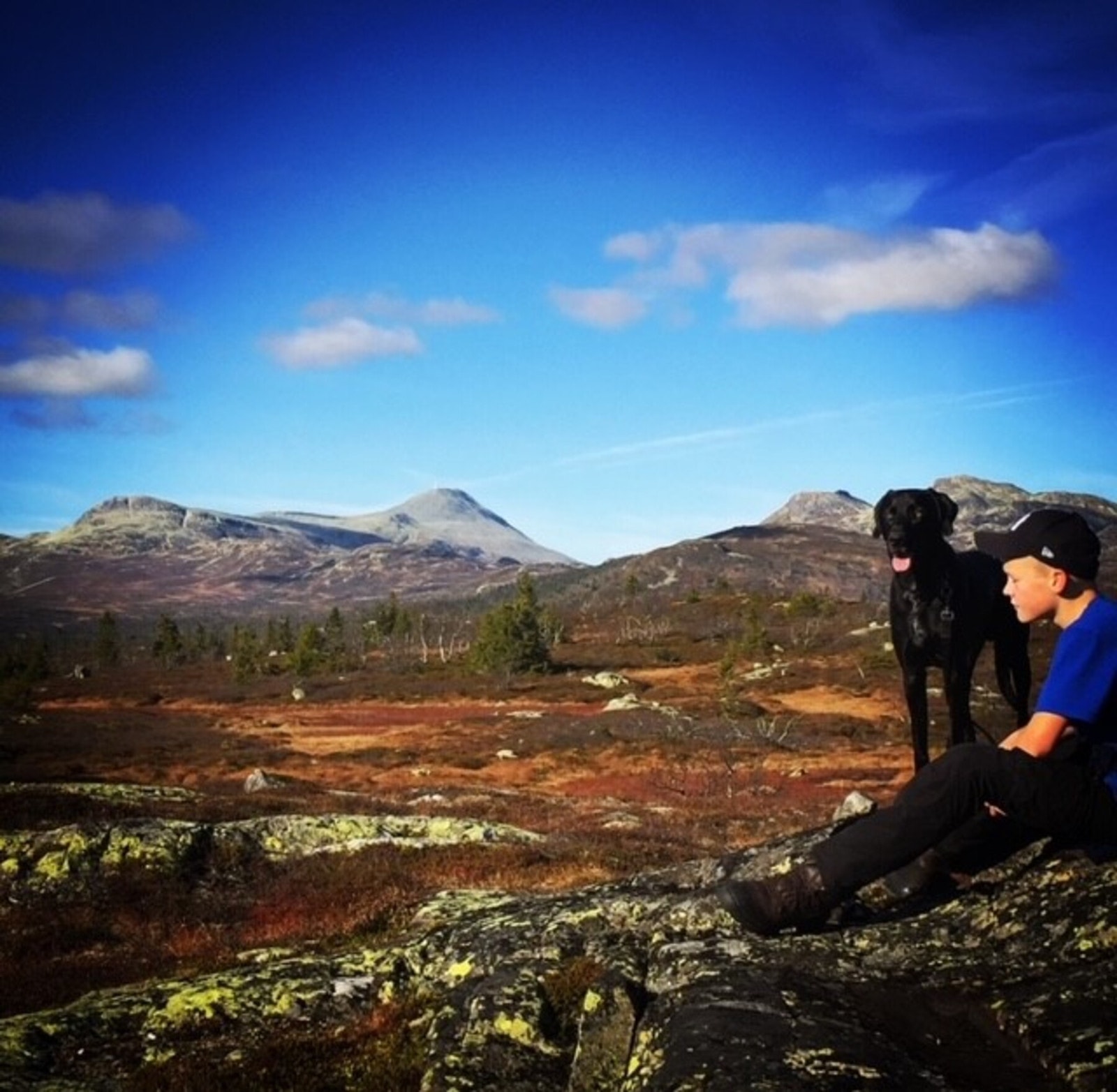 Flotte turområder! Her mot Gaustatoppen Galleribilde