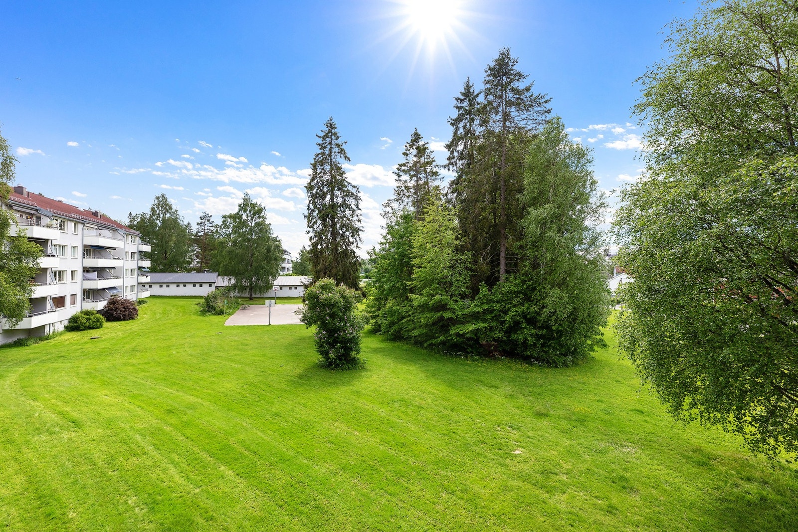 Grønne og fine omgivelser. Galleribilde