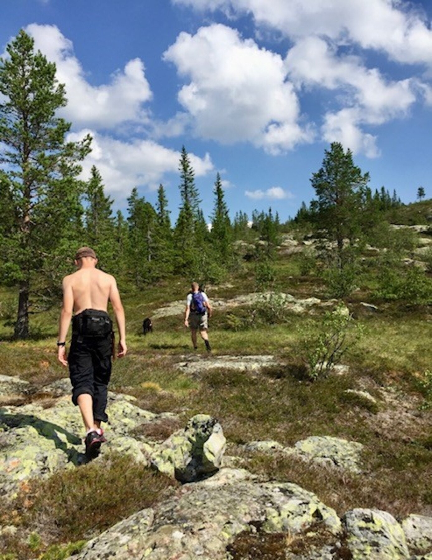 Foto fra turmuligheter i nærområdet Galleribilde