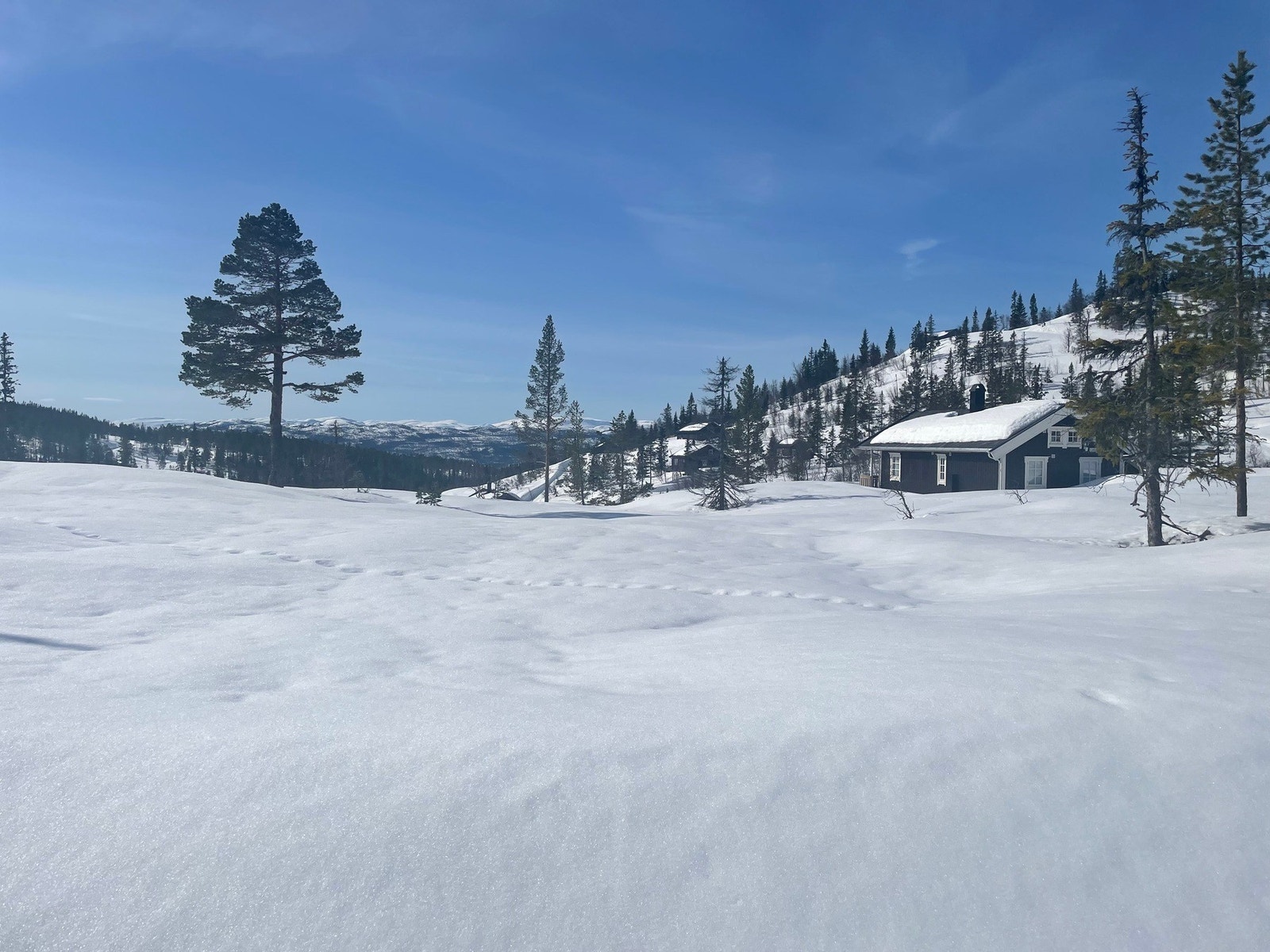 Foto fra tomteområdet Galleribilde