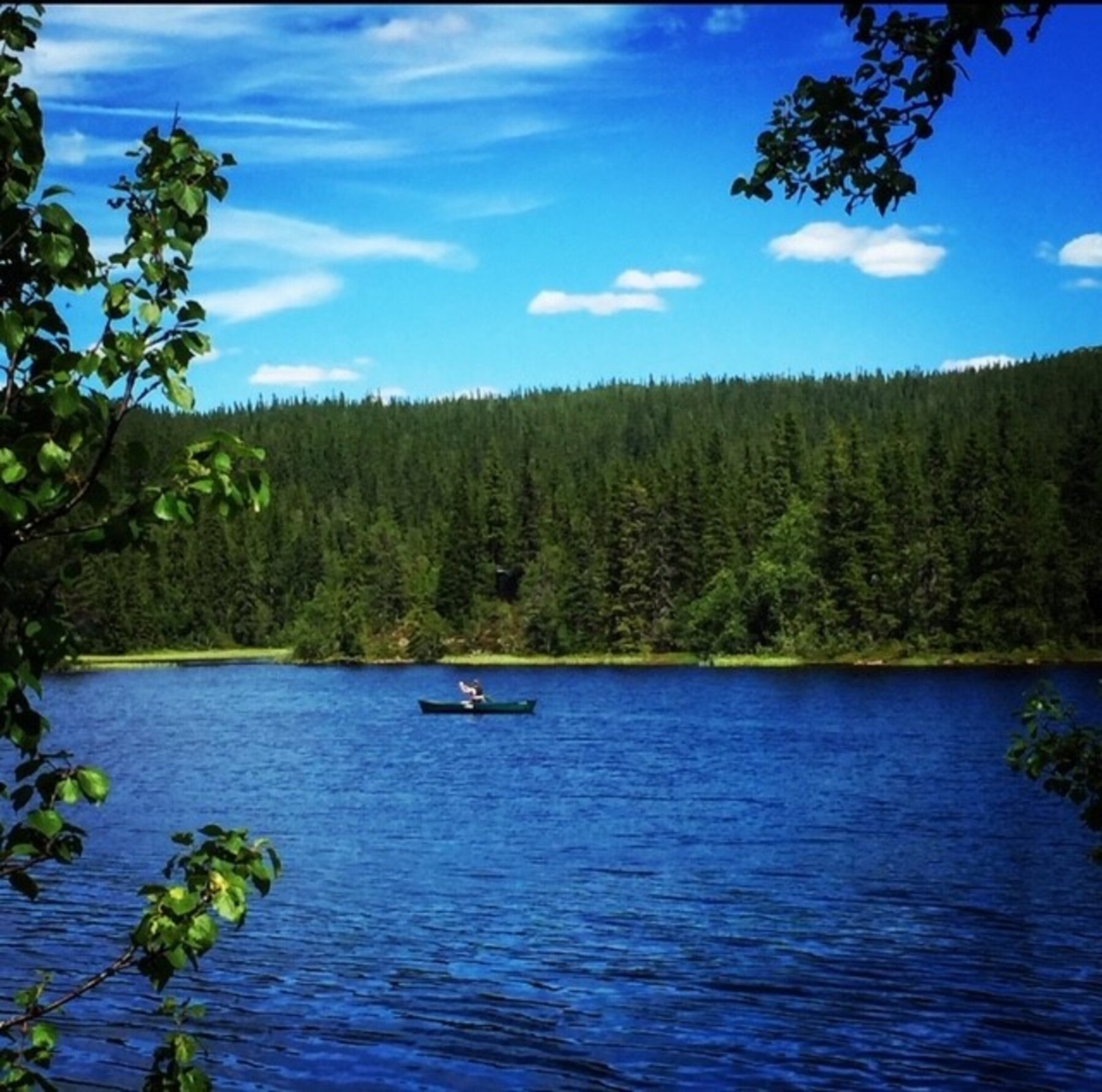 Området byr på flere vann og elver. Flotte kano / fiskemuligheter Galleribilde