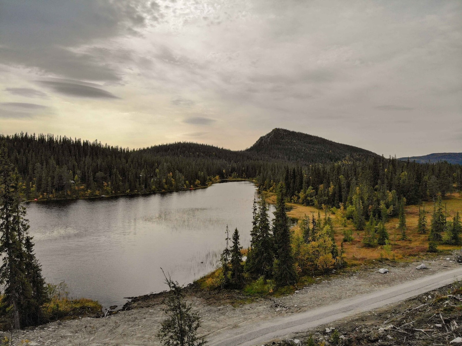 Fra tomteområdet mot Langetjønn Galleribilde