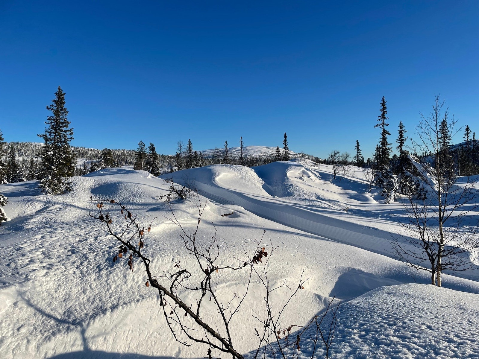 Foto fra tomteområdet Galleribilde