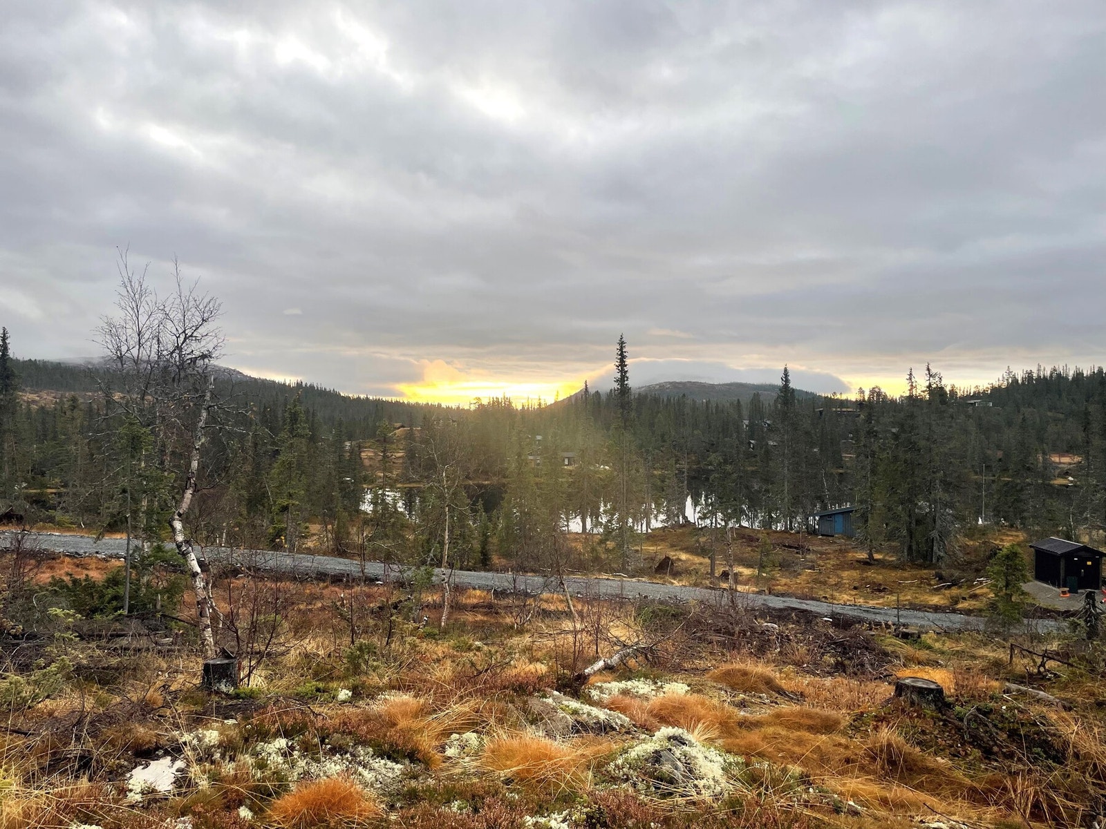 Fra tomteområdet Galleribilde