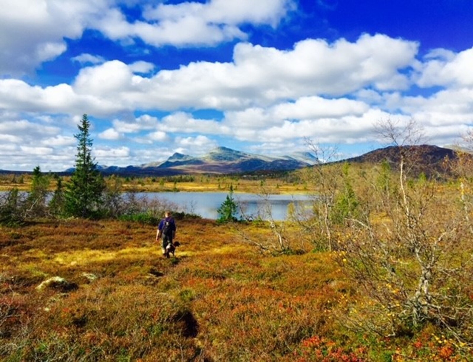 Foto fra turmuligheter i nærområdet Galleribilde