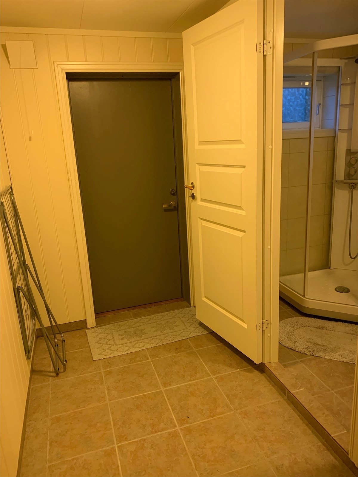 - Privat bilde fra selger som viser at døren er malt - Galleribilde