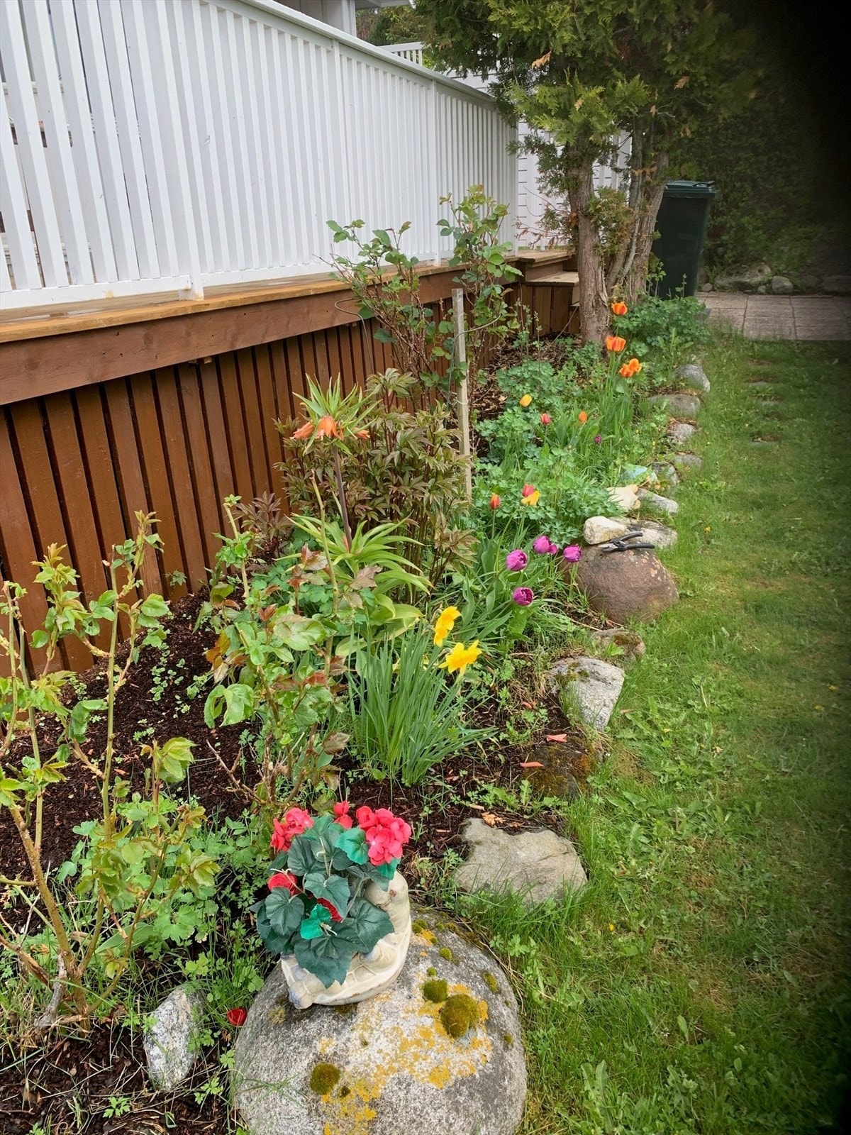 - Privat bilde fra selger - Galleribilde