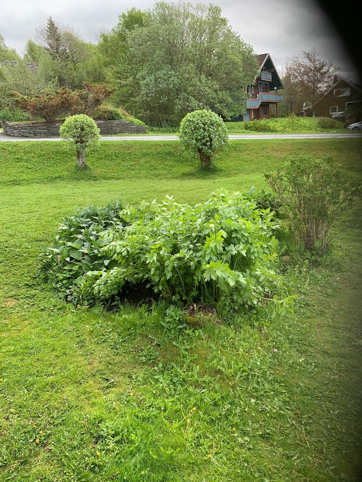 - Privat bilde fra selger - Galleribilde