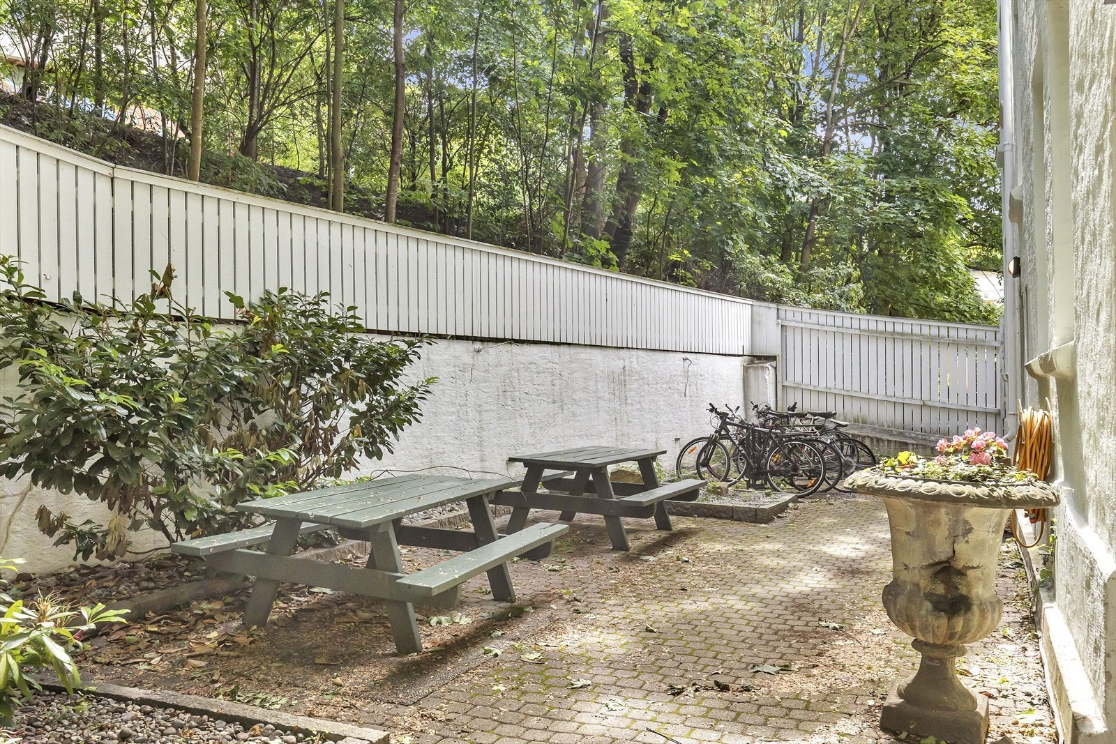 Bakgård. Galleribilde